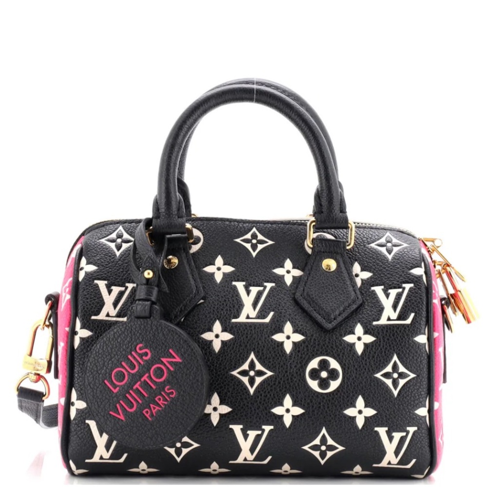 Louis Vuitton Black and White Mini Bag with Monogram